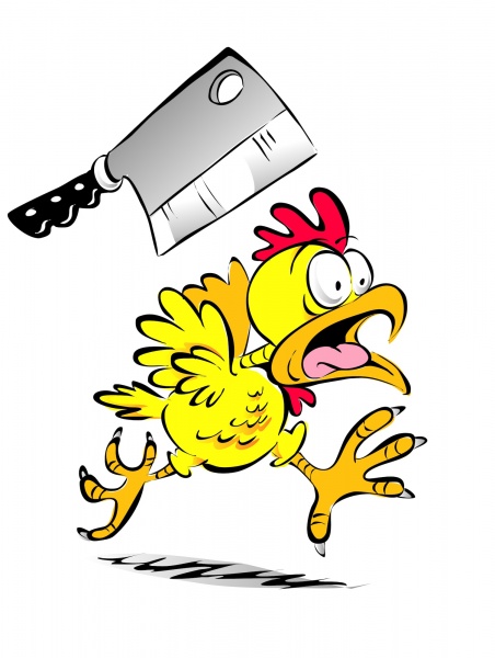 scared chicken clipart free - photo #9